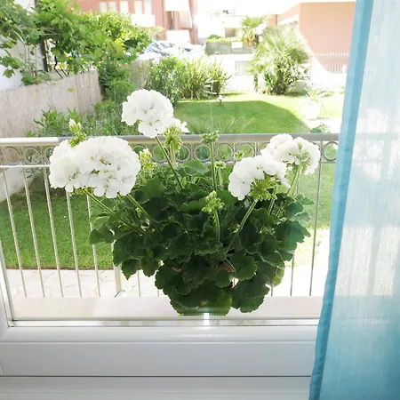 Amarein Apartment *