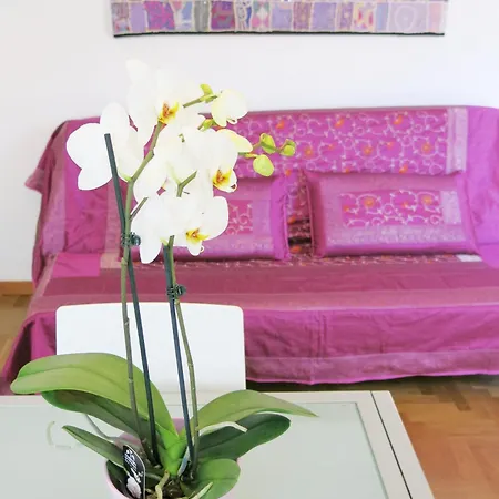 Apartment Amarein *