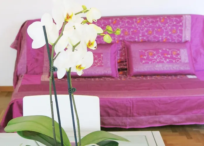 Apartman Amarein *